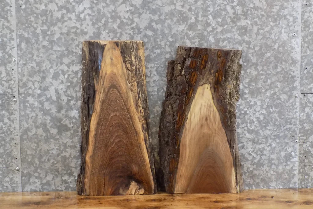 2- Black Walnut Taxidermy Mount/End Table Top Slabs CLOSEOUT 1877-1878