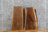 Thumbnail for 2- Black Walnut Taxidermy Mount/End Table Top Slabs CLOSEOUT 1877-1878