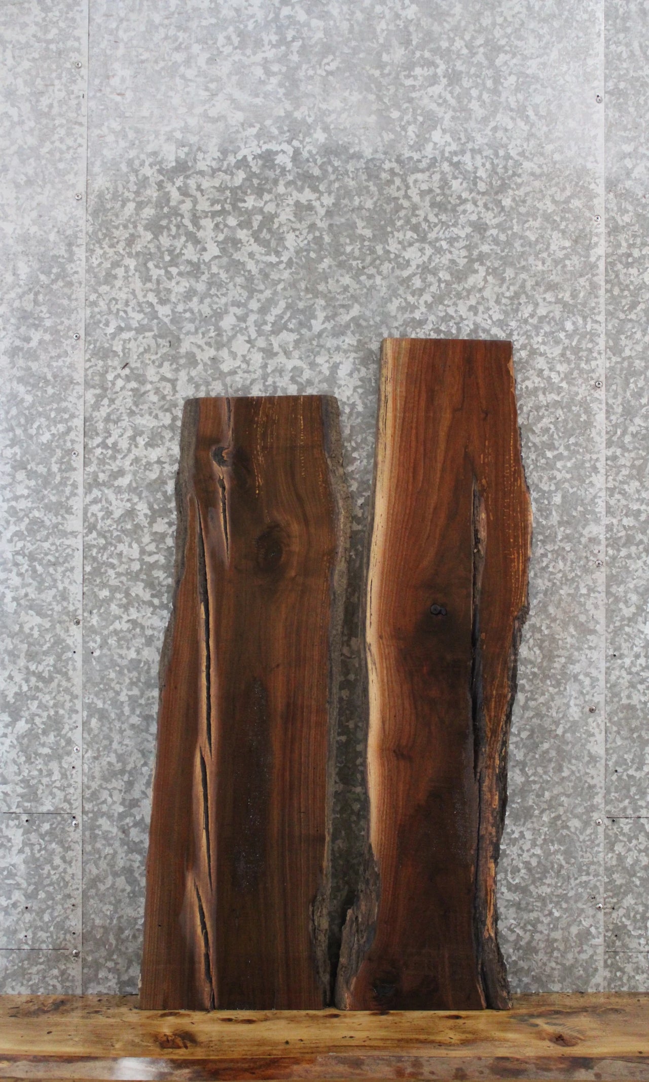 2- Black Walnut Rustic Taxidermy Slabs 1576