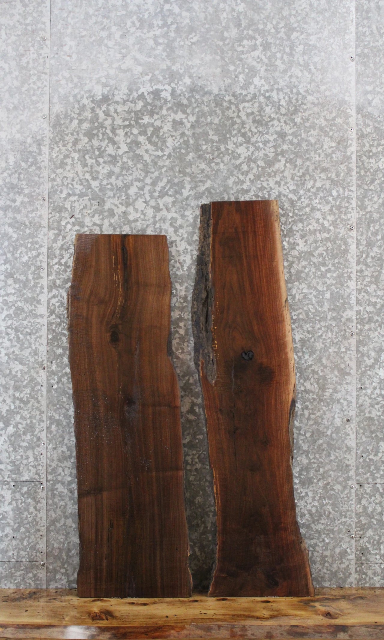 2- Black Walnut Rustic Taxidermy Slabs 1576