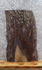 Thumbnail for Black Walnut Accent Table/Taxidermy Mount Slab CLOSEOUT 1578
