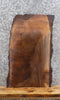 Thumbnail for Black Walnut Accent Table/Taxidermy Mount Slab CLOSEOUT 1578