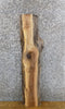 Thumbnail for Natural Edge Black Walnut Rustic Accent/Side Table Top Slab 1579