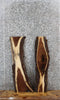 Thumbnail for 2- Walnut Live Edge Charcuterie/Taxidermy/Shelf Slabs 1583-1584