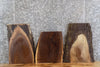 Thumbnail for 3- Live Edge Black Walnut End/Side/Accent Table Top Slab 1866-1868