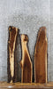 Thumbnail for 3- Walnut Live Edge Taxidermy/Charcuterie/Shelf Slabs 1583-1585