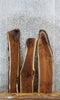 Thumbnail for 3- Walnut Live Edge Taxidermy/Charcuterie/Shelf Slabs 1583-1585