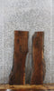 Thumbnail for 2- Black Walnut Rustic Charcuterie/Taxidermy Slabs 1591