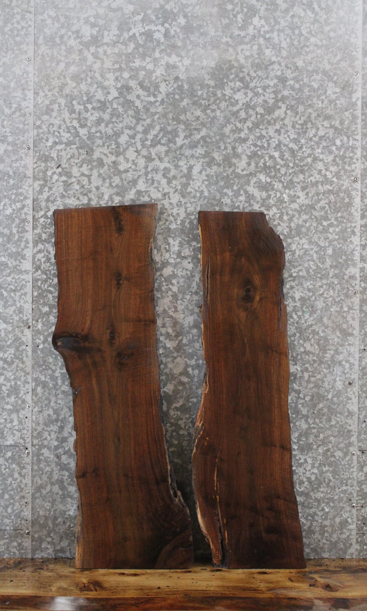 2- Black Walnut Rustic Charcuterie/Taxidermy Slabs 1591