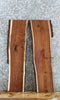 Thumbnail for 2- Walnut Live Edge Charcuterie/Taxidermy/Shelf Slabs 1592-1593