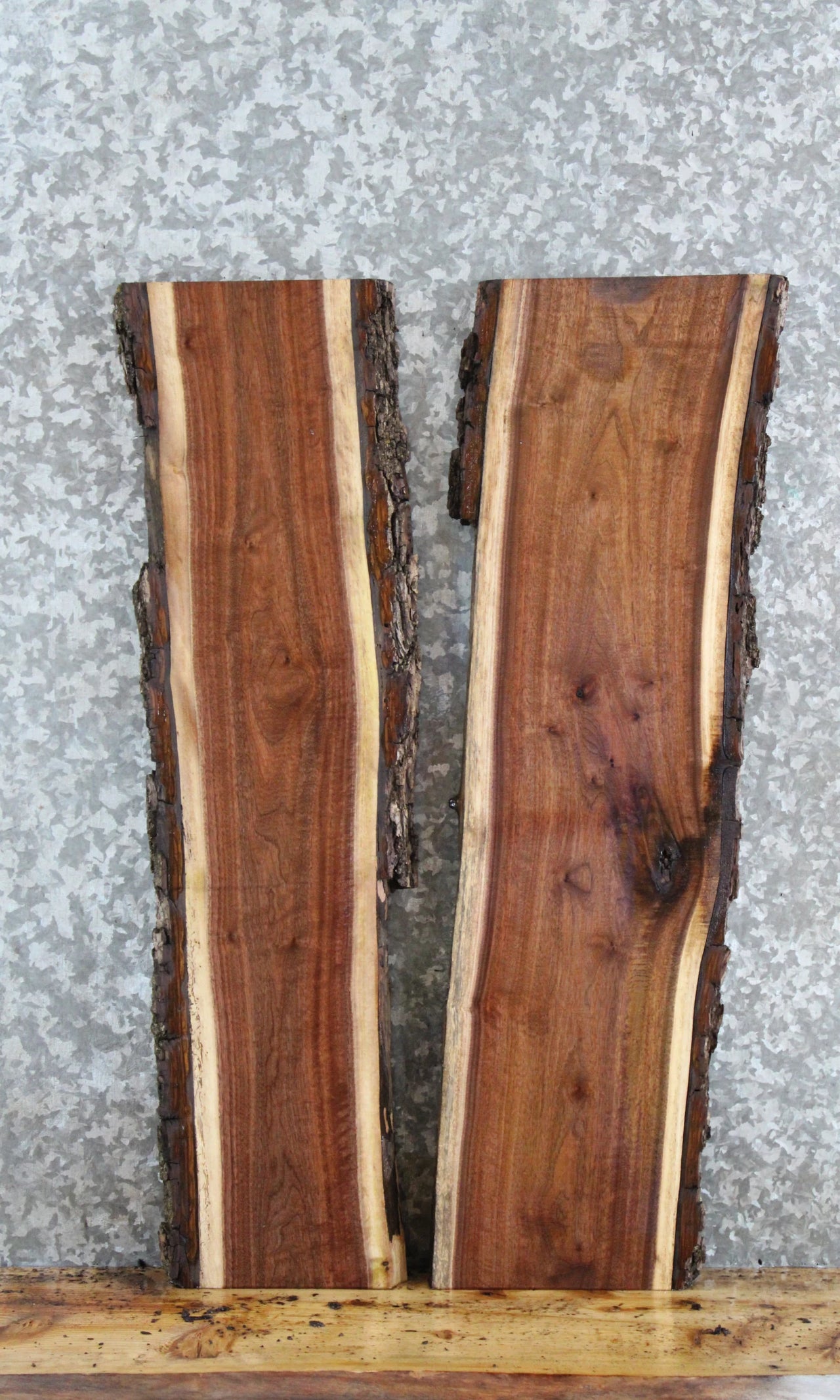 2- Walnut Live Edge Charcuterie/Taxidermy/Shelf Slabs 1592-1593