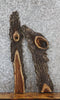 Thumbnail for 2- Live Edge Black Walnut Charcuterie Boards/Taxidermy Mounts 1596-1597