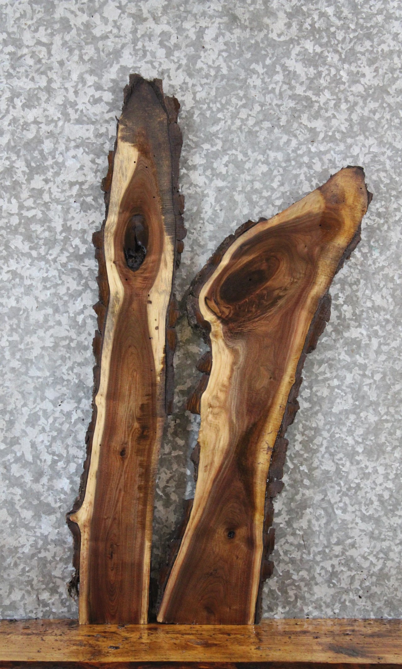 2- Live Edge Black Walnut Charcuterie Boards/Taxidermy Mounts 1596-1597