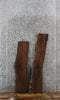Thumbnail for 2- Black Walnut Rustic Charcuterie/Taxidermy Slabs 1611