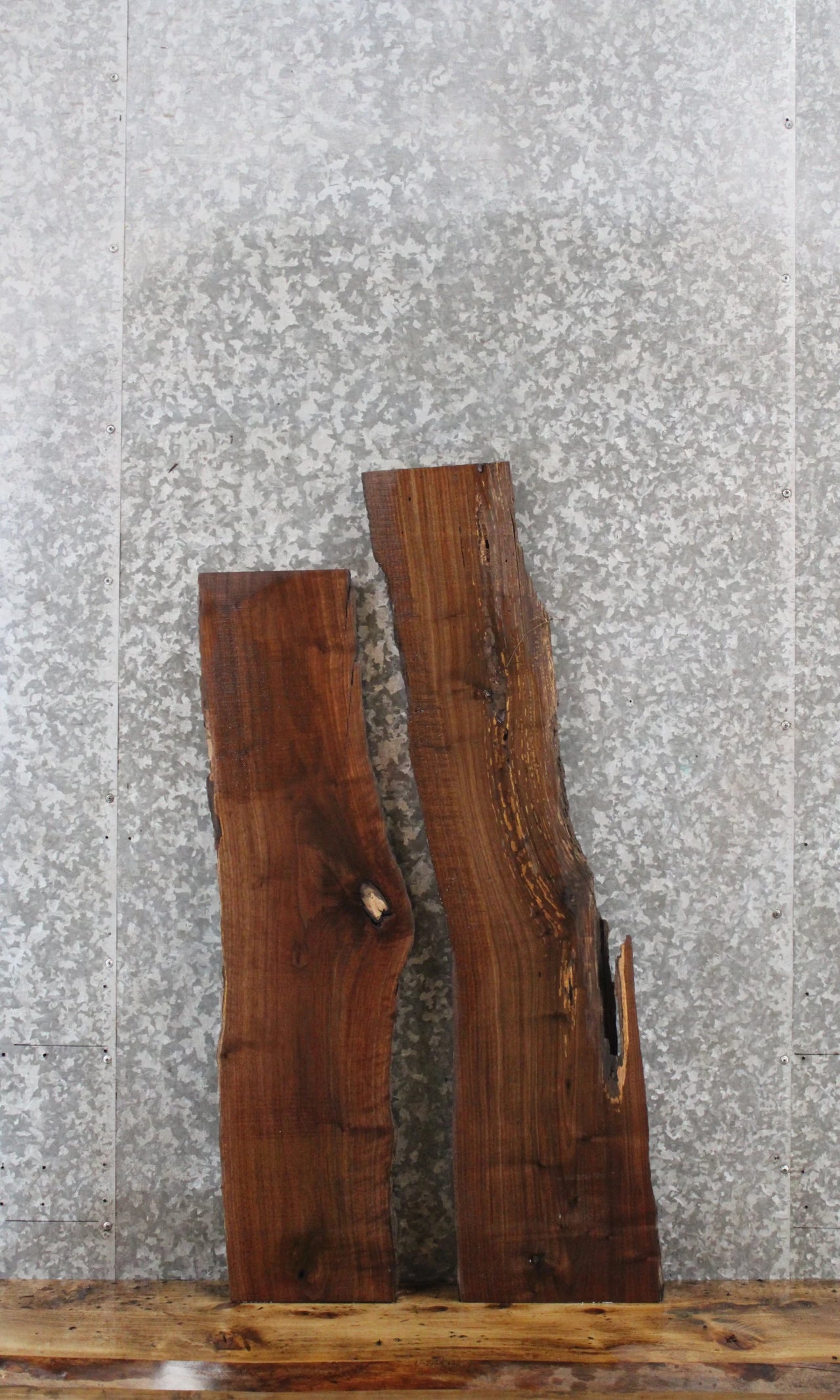2- Black Walnut Rustic Charcuterie/Taxidermy Slabs 1611
