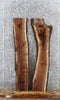 Thumbnail for 2- Walnut Live Edge Charcuterie/Taxidermy/Shelf Slabs 1612-1613