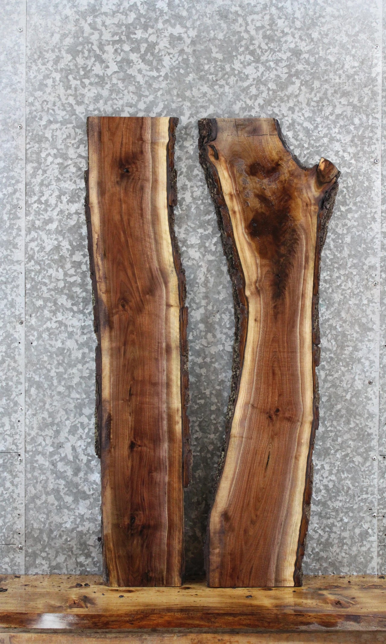 2- Walnut Live Edge Charcuterie/Taxidermy/Shelf Slabs 1612-1613