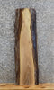 Thumbnail for Black Walnut Live Edge Wall Shelf/Reclaimed End Table Top Slab 1615
