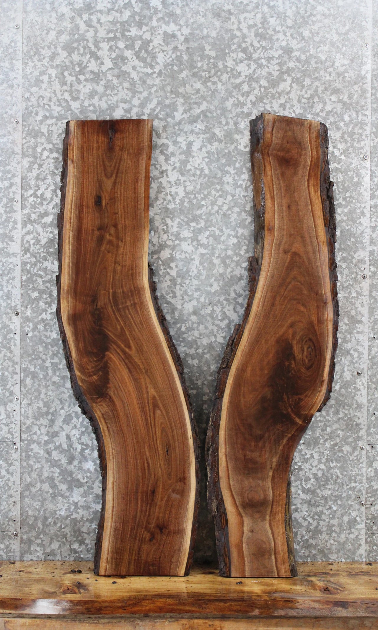 2- Walnut Live Edge Charcuterie/Taxidermy/Shelf Slabs 1616-1617