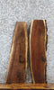 Thumbnail for 2- Live Edge Black Walnut Charcuterie Boards/Taxidermy Mounts 1618-1619