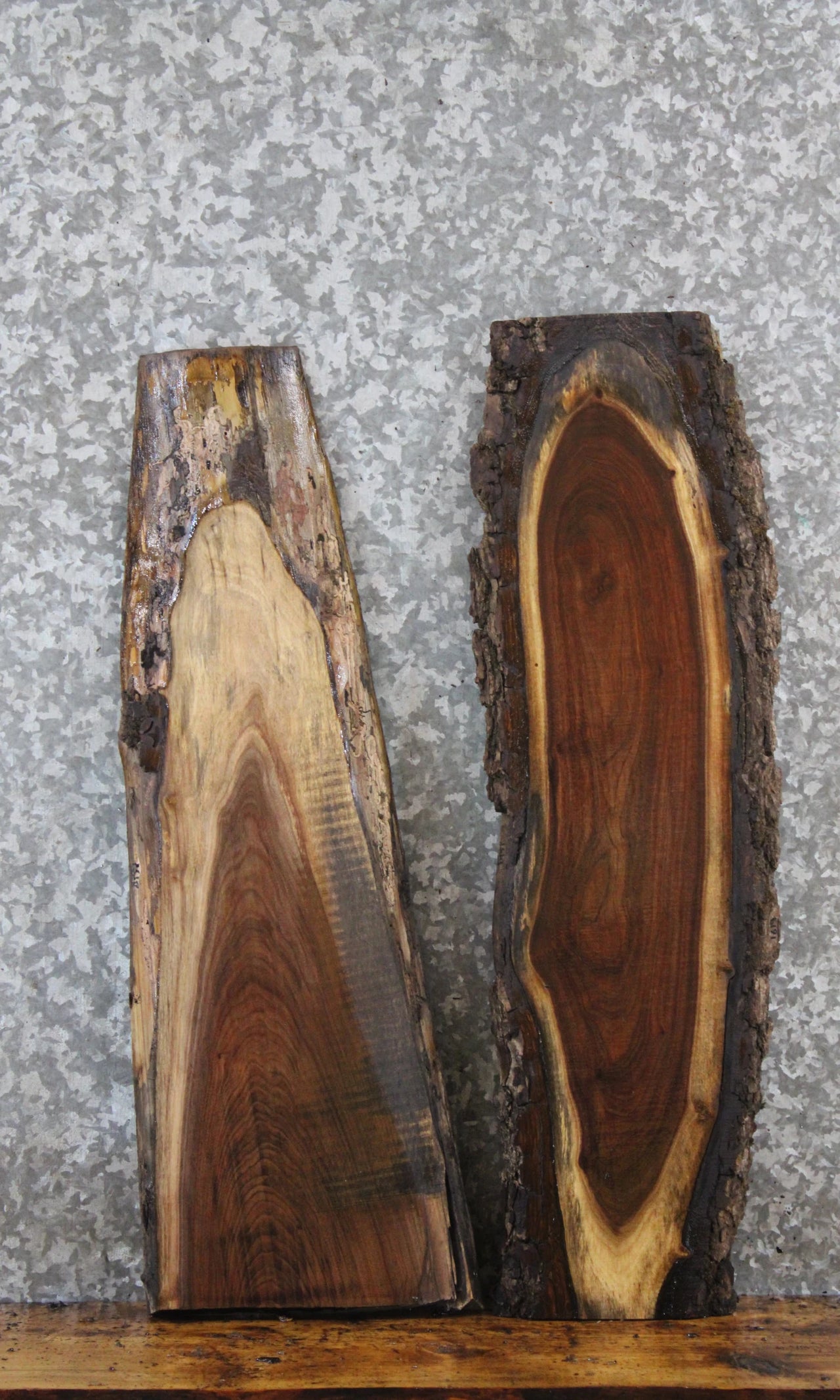 2- Live Edge Black Walnut Charcuterie Boards/Taxidermy Mounts 1618-1619