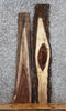 Thumbnail for 2- Live Edge Black Walnut Side Table Tops/Wall Shelves 1620-1621