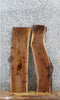 Thumbnail for 2- Walnut Live Edge Charcuterie/Taxidermy/Shelf Slabs 1622-1623