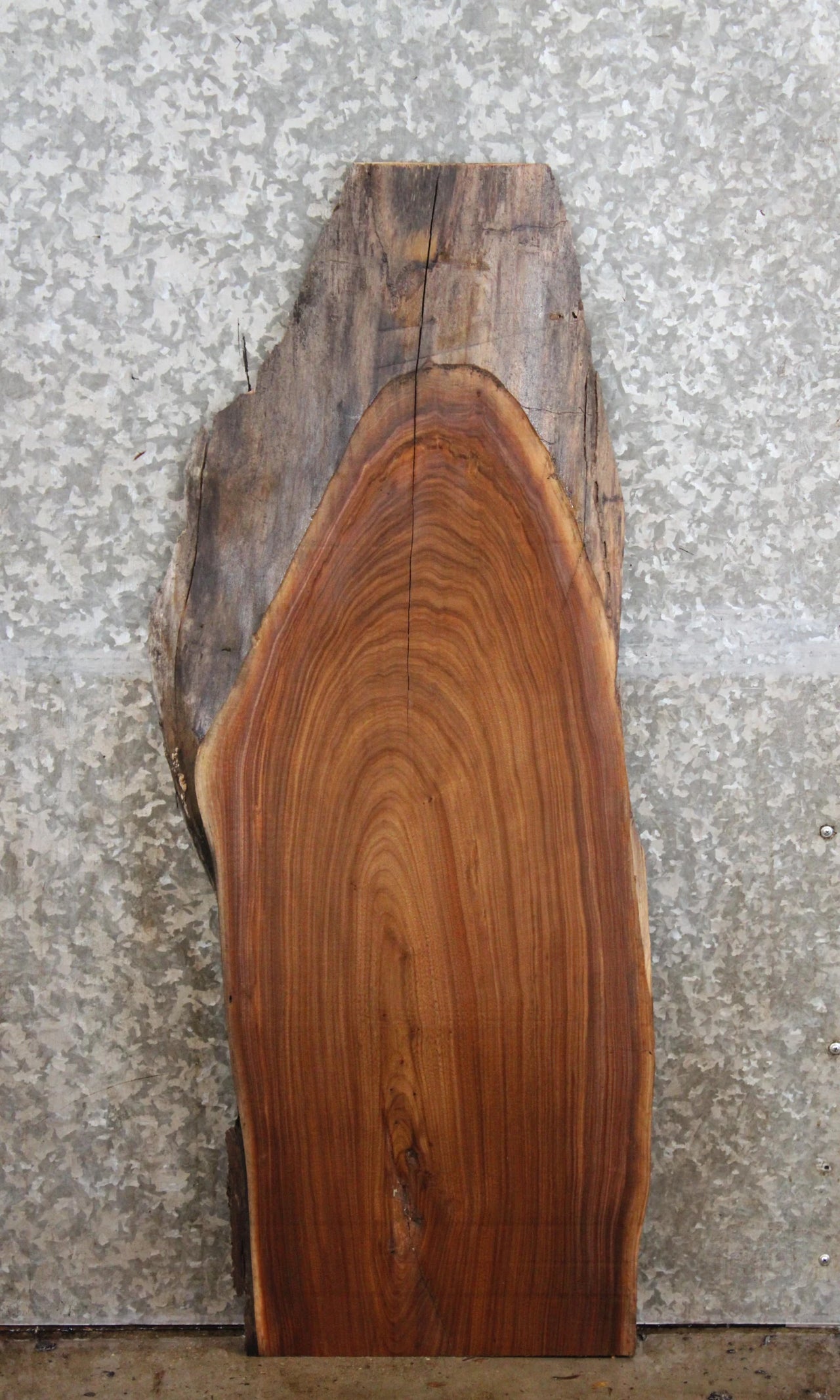 Black Walnut Natural Edge Side Table Top/Taxidermy Slab 1662