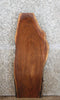 Thumbnail for Black Walnut Natural Edge Side Table Top/Taxidermy Slab 1662