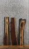 Thumbnail for 3- Black Walnut Live Edge Charcuterie Board/Taxidermy Mount Slabs 1663-1665