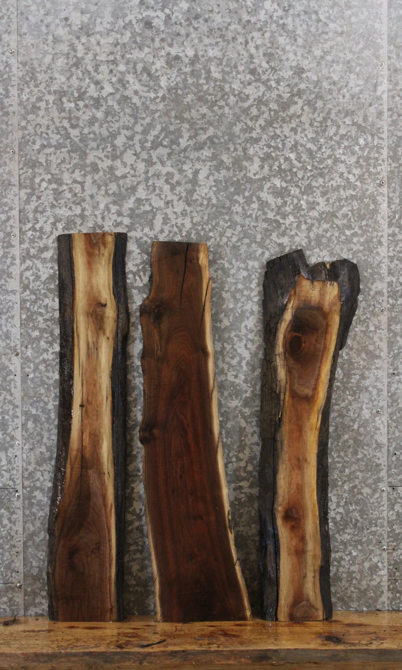 3- Black Walnut Live Edge Charcuterie Board/Taxidermy Mount Slabs 1663-1665