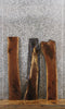 Thumbnail for 3- Black Walnut Live Edge Charcuterie Board/Taxidermy Mount Slabs 1663-1665