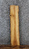 Thumbnail for Live Edge Ash Side Table Top/Taxidermy Mount Slab 1670