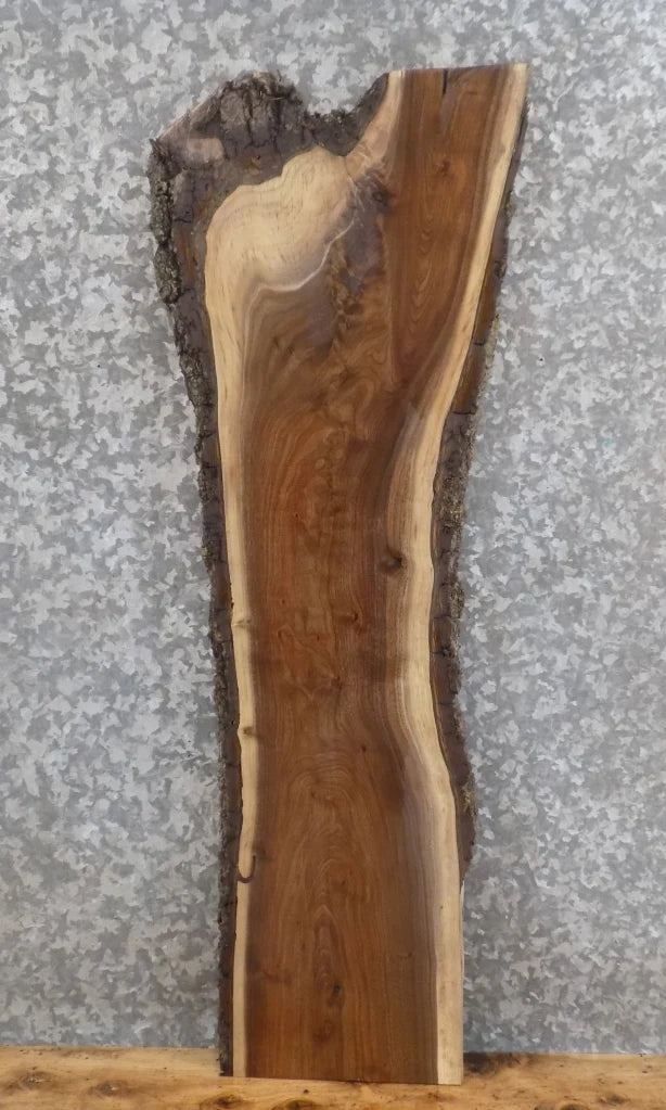 Live Edge Black Walnut Mantel/Accent Table Top Slab 1671