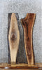 Thumbnail for 2- Walnut Live Edge Charcuterie/Shelf/Taxidermy Slabs 1686-1687