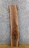 Thumbnail for Black Walnut Live Edge Reclaimed Sofa/Side Table Top Wood Slab 1700