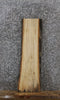 Thumbnail for Elm Live Edge Mantel/Taxidermy Slab 1711