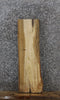 Thumbnail for Elm Live Edge Mantel/Taxidermy Slab 1711