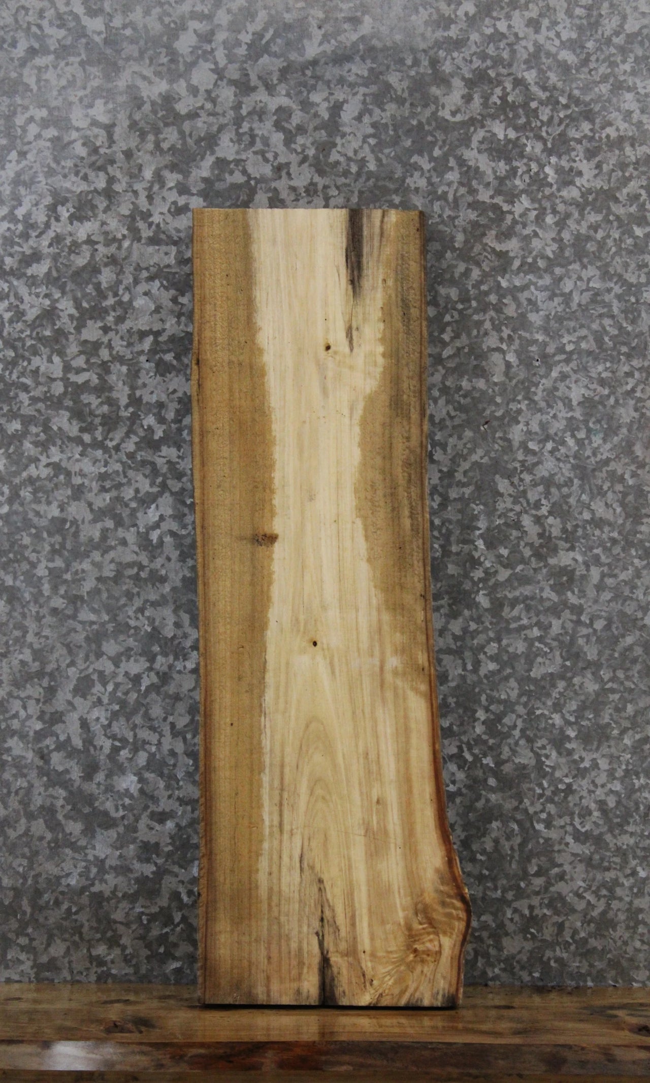 Elm Live Edge Mantel/Taxidermy Slab 1711