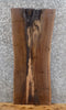 Thumbnail for Live Edge Black Walnut Epoxy Project/End Table Top Slab 1712