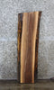 Thumbnail for Black Walnut Live Edge Charcuterie/Shelf Slab 1714