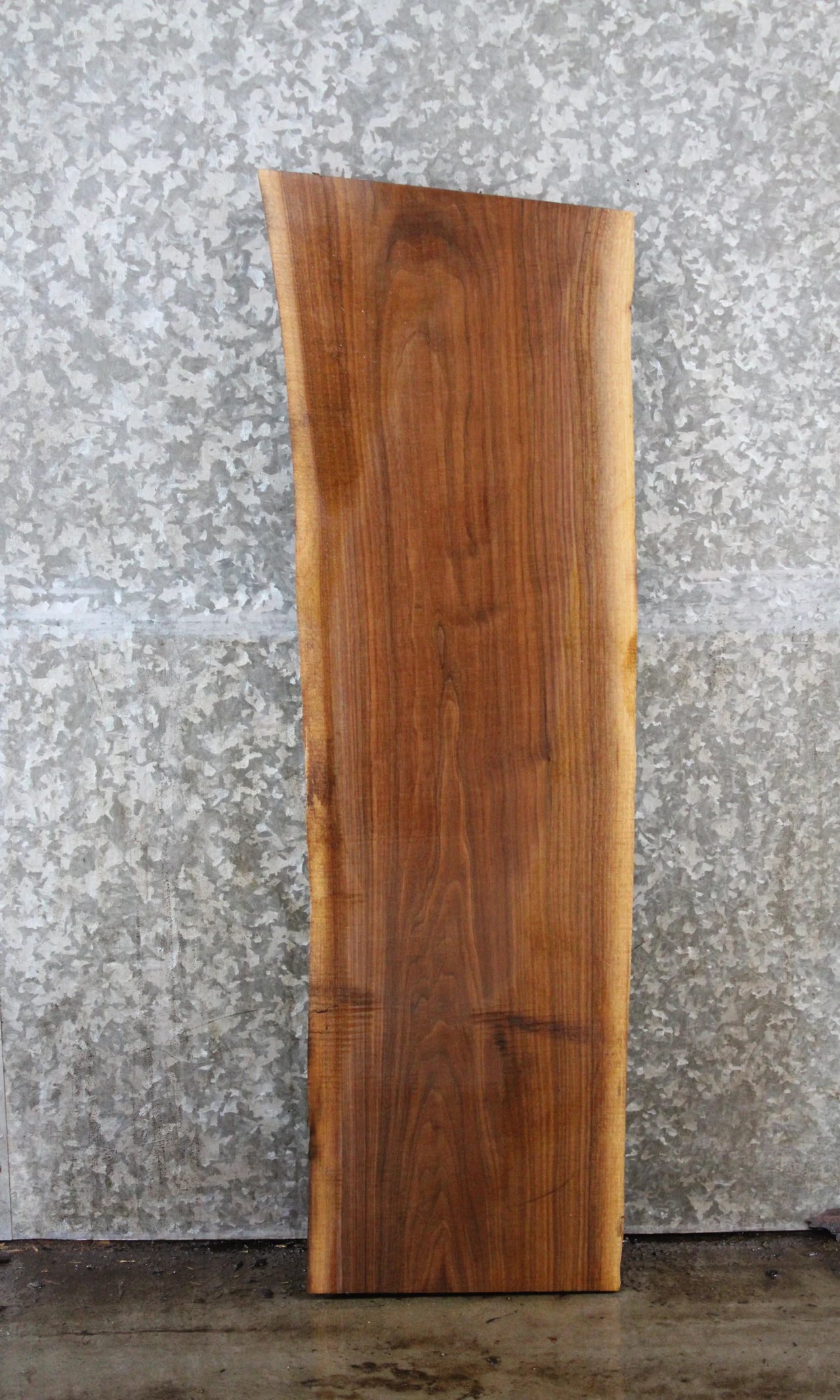 Black Walnut Live Edge Charcuterie/Shelf Slab 1714