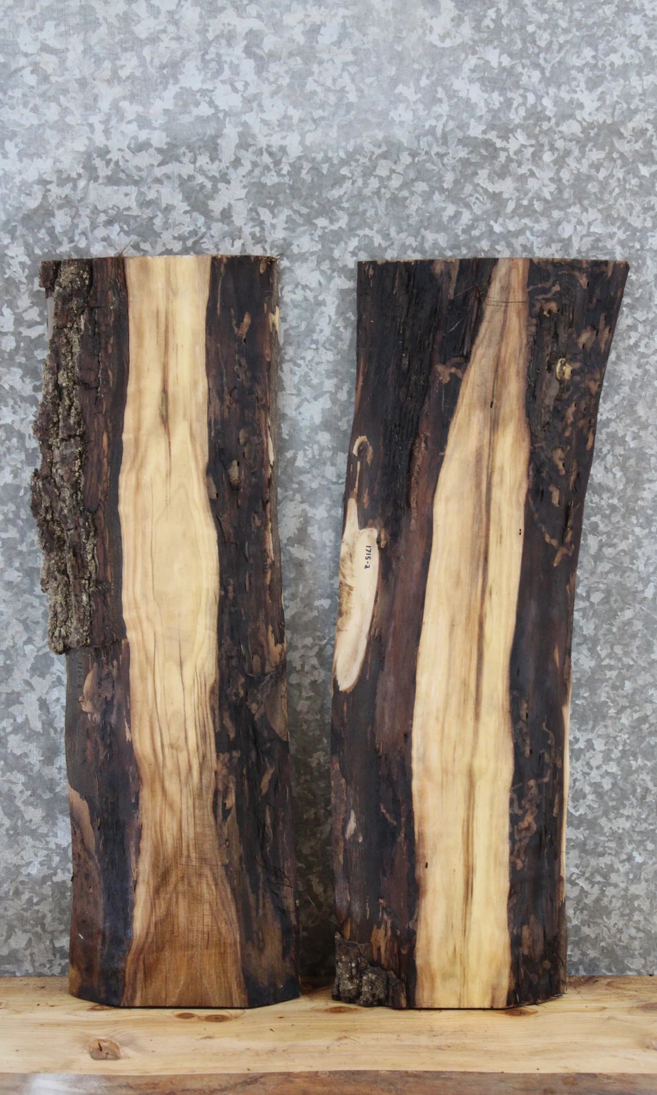 2- Black Walnut Live Edge Charcuterie Board Slabs 1715