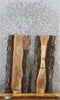 Thumbnail for 2- Live Edge Black Walnut Taxidermy/Shelf Slabs 1716-1717