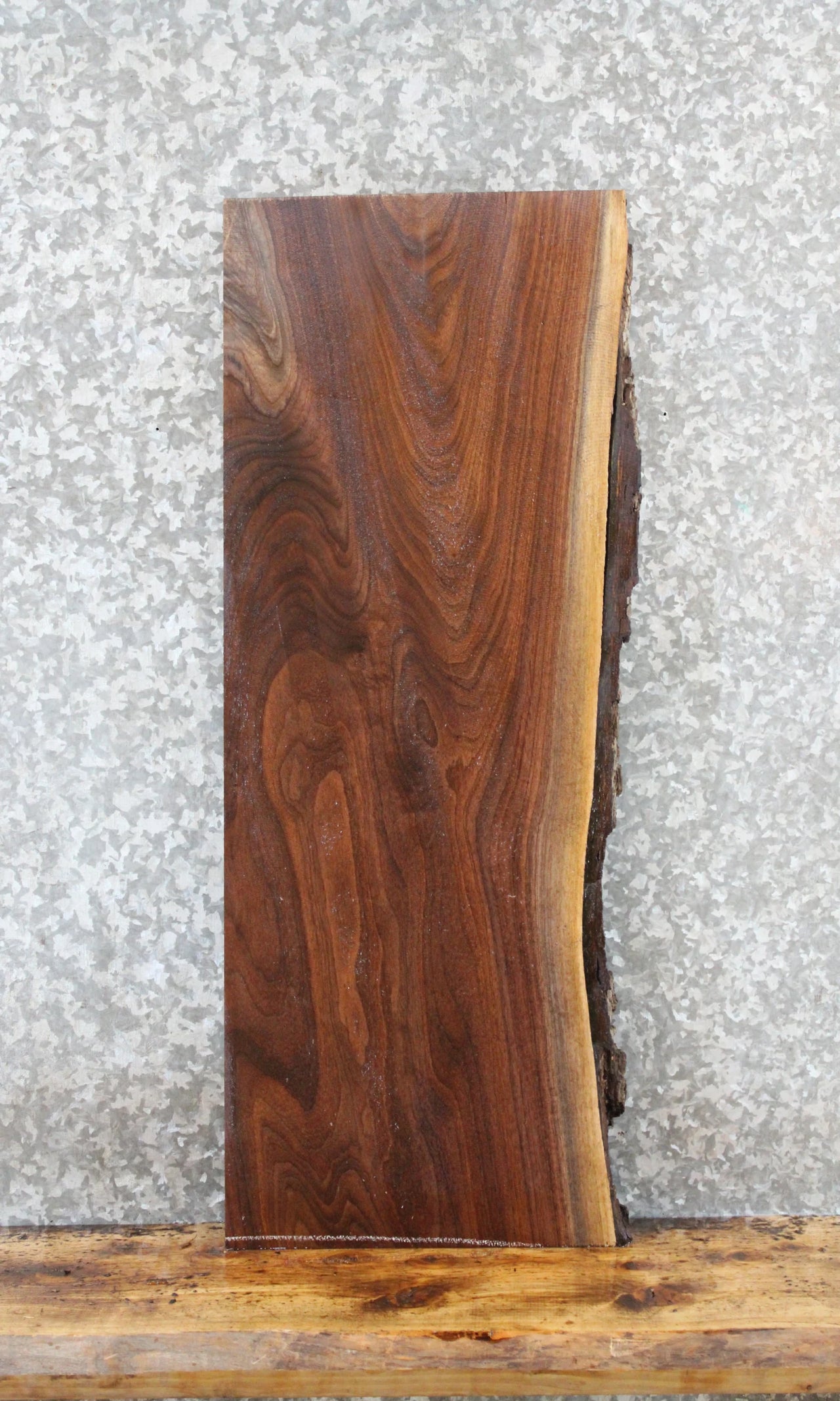 Live Edge Floating Shelf Black Walnut Book Shelf 1717