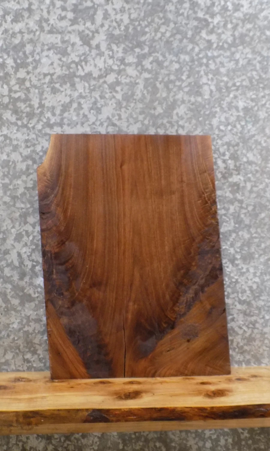 Live Edge Salvaged Black Walnut End/Accent Table Top Slab 13110