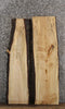 Thumbnail for 2- Live Edge Maple DIY Floating Shelves/Taxidermy Slabs 1718-1719