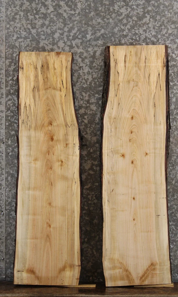 2- Live Edge Maple DIY Floating Shelves/Taxidermy Slabs 1718-1719