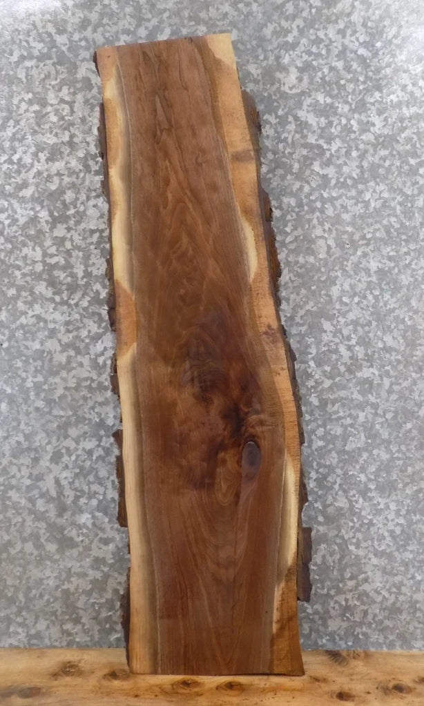 Live Edge Black Walnut Reclaimed Mantel/Bar Top Slab 1721