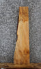 Thumbnail for Maple Live Edge Shelf/Taxidermy Slab 1722